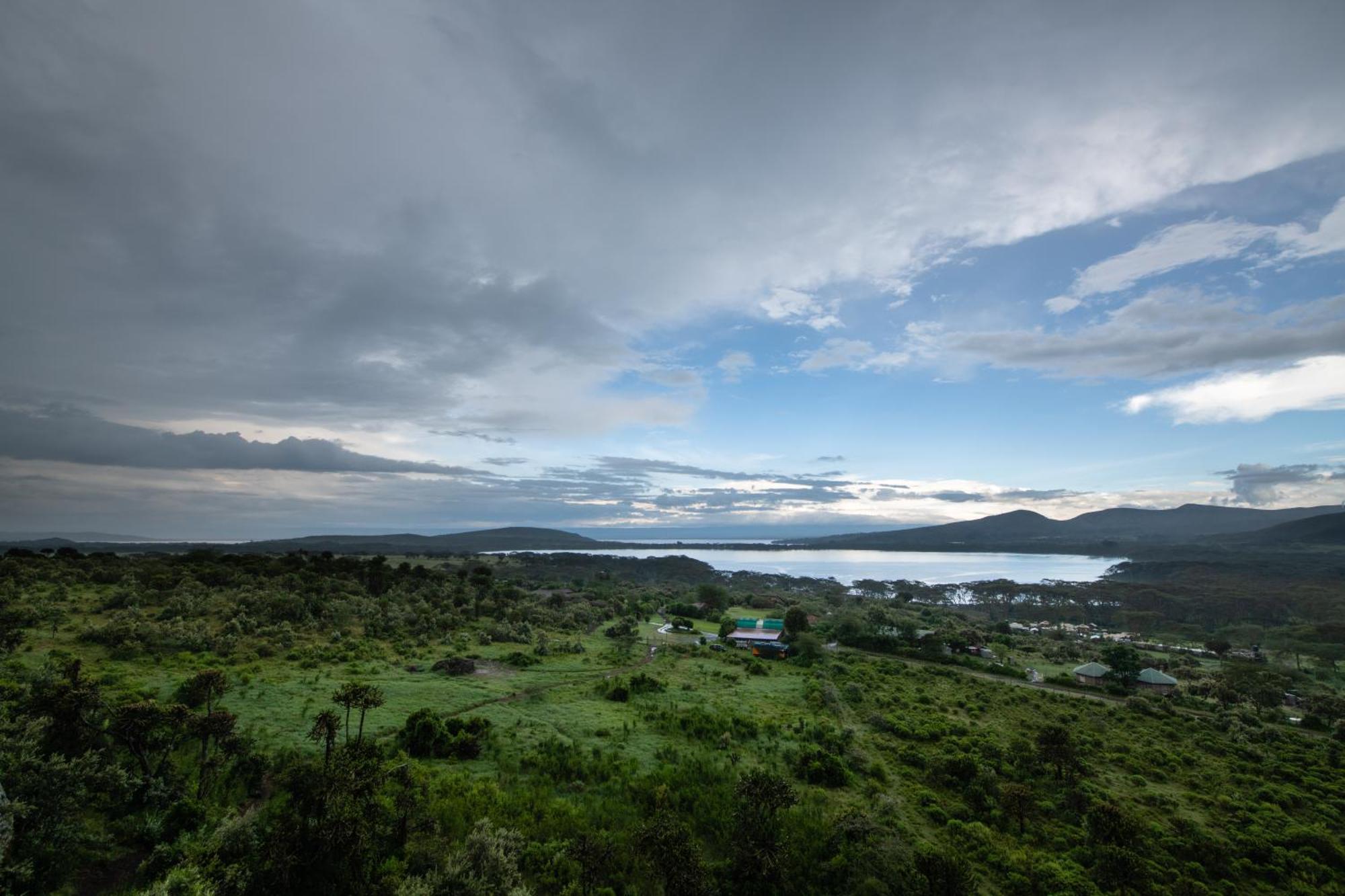 Naivasha Kongoni Lodge - Lakefront Getaway Εξωτερικό φωτογραφία